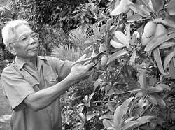 Thông điệp của người anh hùng