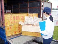 Bắt giữ 15.000 trứng gia cầm nhập lậu