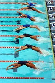 CỌ XÁT CÓ GIÁ CỦA CỌ XÁT ! ảnh 1