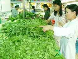 Đầu tư vào công nghệ trồng và chế biến rau quả xuất khẩu