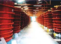 Phú Quốc 40 độ đạm!