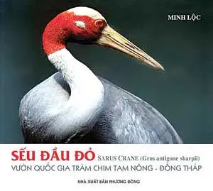 Cuốn sách “Sếu đầu đỏ” lớn nhất Việt Nam