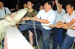 Trung Quốc: Một học sinh bị cá sấu ăn thịt