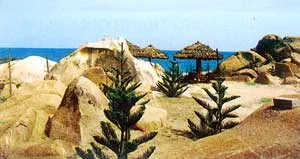 Chất lính giữa thời bình ảnh 2