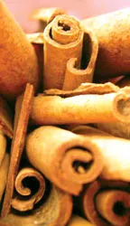 Quế chi có công dụng gì?