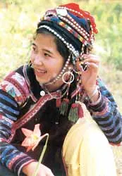 Mỗi dân tộc ở VN có bao nhiêu người?