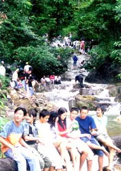 Đánh thức Madagui ảnh 2