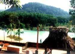 Đánh thức Madagui