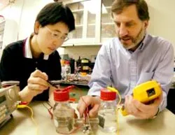 Biến nước thải sinh hoạt thành điện năng