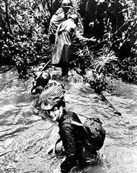 “Tức điên lên”! ảnh 3