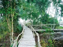 Về Đồng Tháp Mười thu nhỏ