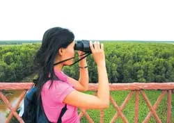 Đi xem sếu đầu đỏ