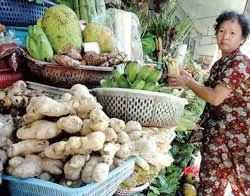 Gừng Trung Quốc bán trên thị trường TPHCM. Ảnh: THÀNH TÂM