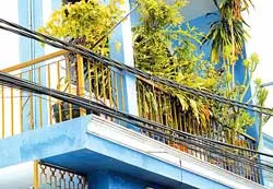 Góc nhìn xấu, đẹp ảnh 3