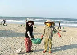 Xử lý thảm họa dầu tràn ô nhiễm :Thừa nghiên cứu, thiếu kết luận