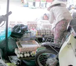 Nguy cơ vỡ cả “mặt trận” trứng gia cầm