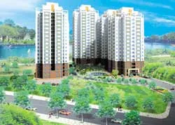 “Đảo xanh” Phú Mỹ Thuận