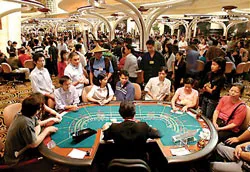 Đến Macau xem casino