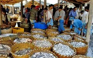 Châu Á: Thực phẩm giả và hóa chất làm tăng tỷ lệ ung thư