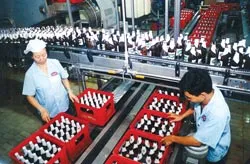 Cơ hội sở hữu 20% vốn điều lệ Sabeco