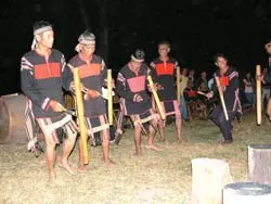 Lên rừng làm du lịch