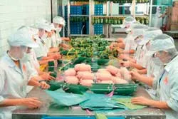 Nơi thể hiện uy tín và trách nhiệm của Công ty Vissan