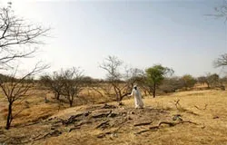 Darfur (Sudan): Các cuộc thanh trừng tái diễn?