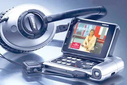 Những "chú dế" không giống ai