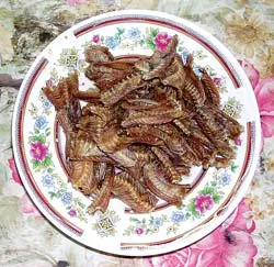 Xương rắn chiên giòn