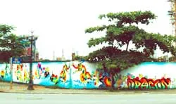 Tranh Rồng nghệ thuật graffiti lớn nhất Việt Nam
