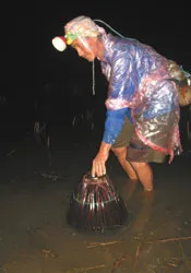 Soi ếch mùa nước nổi