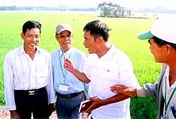 Tiến sĩ...“chơn đây”! ảnh 2