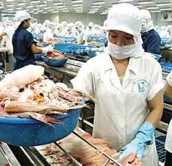 Mừng ít, lo nhiều ảnh 2