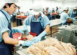 Mừng ít, lo nhiều