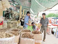Tràn ngập ở thị trường TPHCM