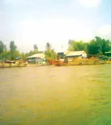 Ngẩn ngơ chợ nổi Ngã Bảy