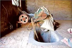 Báo động toàn cầu!