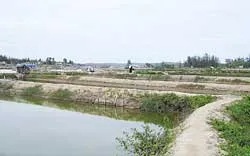 Miền Trung và ĐBSCL: Tôm chết... liên tỉnh ảnh 2