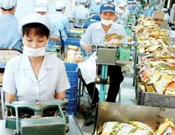 Vinacafé Biên Hòa nâng mức chia cổ tức lên 32,5%