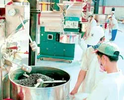 Bài 1: Những câu chuyện thần kỳ
