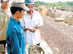 Bài 1: Những câu chuyện thần kỳ ảnh 2