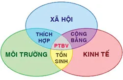 Lương tâm, trách nhiệm con người là then chốt