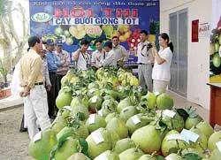 Bài 3: “Trông giỏ, bỏ thóc”