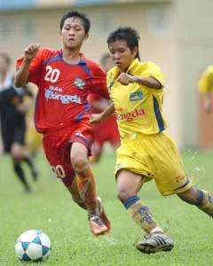 Sân Thống Nhất: TCDK SLNA - Đà Nẵng: Đà Nẵng có đòi được nợ? ảnh 1