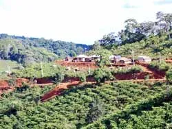 Nói “không” với tội phạm