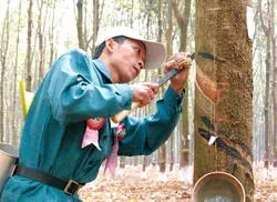 Khai thông đầu tư ra nước ngoài