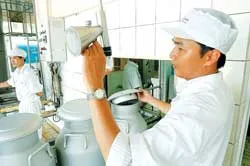 Giá mua sữa tươi nguyên liệu tăng mạnh: Bò sữa lại “lên ngôi”?