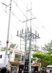 Lùm cây bao vây lưới điện