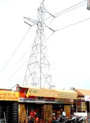 Lùm cây bao vây lưới điện ảnh 2