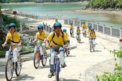 Nhộn nhịp đi “Mice”